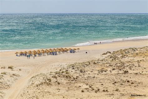 nude beach cadiz|The Best Beaches in Cadiz You Can’t Miss